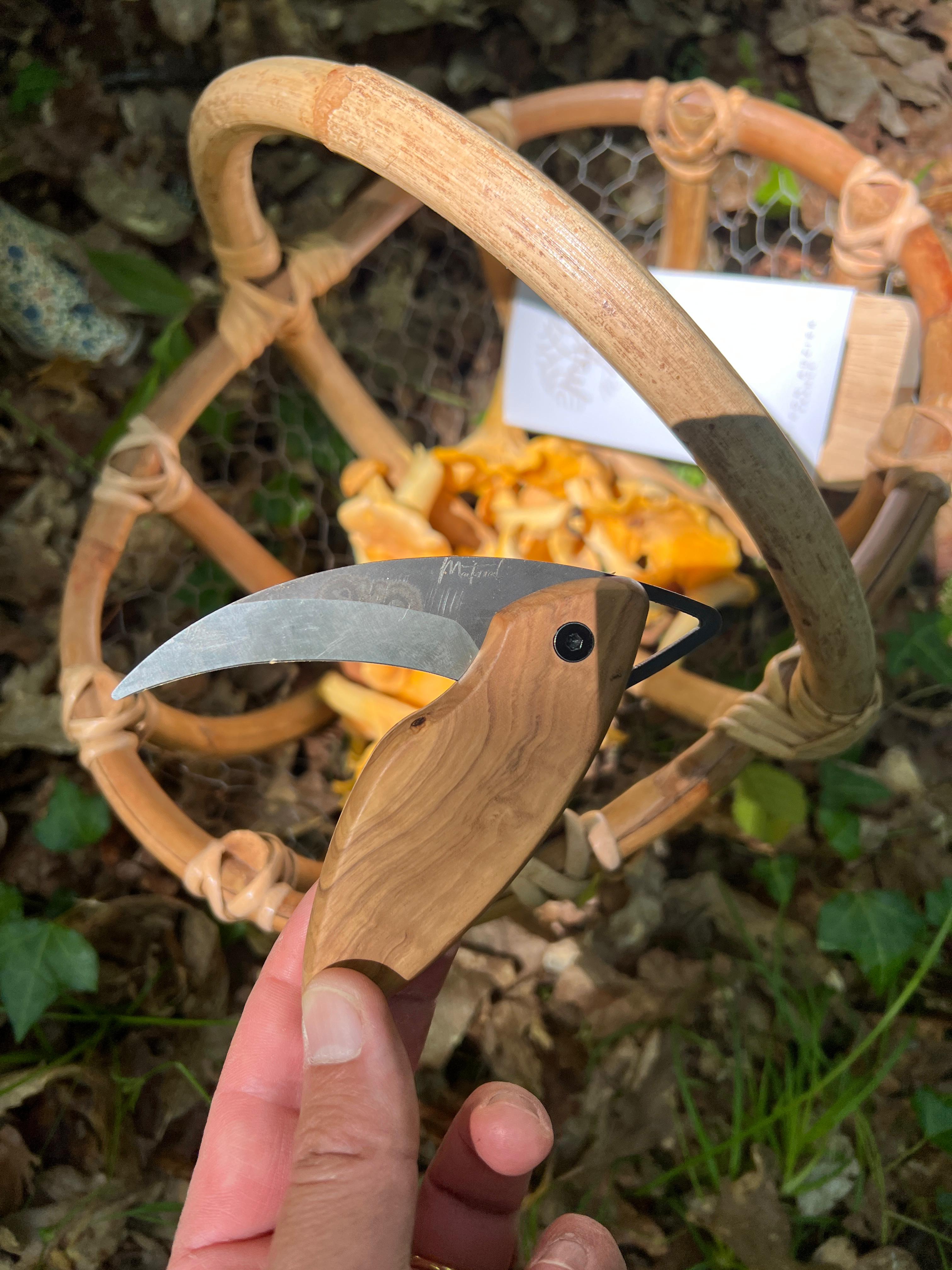 Couteau Ă champignon Matorral en olivier