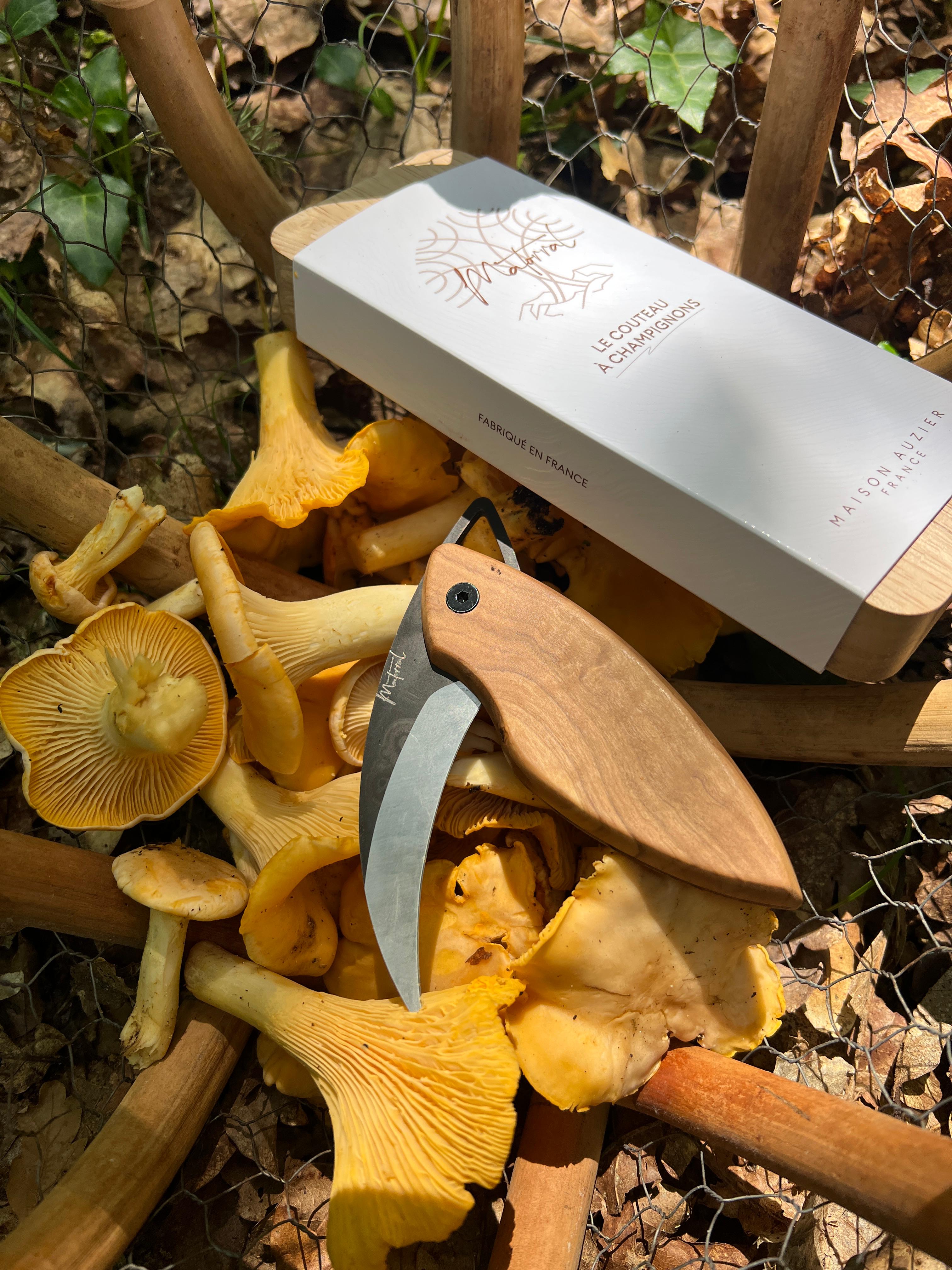 Couteau Ă champignon Matorral en olivier