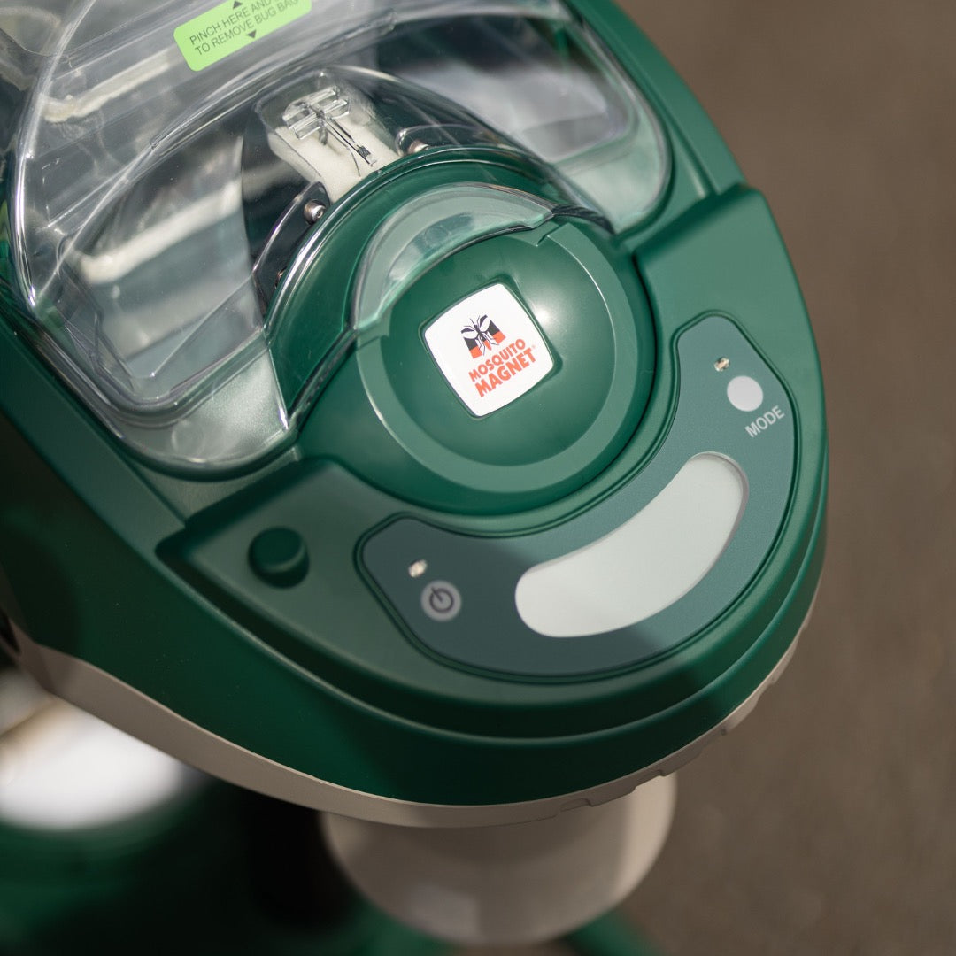 MOSQUITO EXECUTIVE Gueuleton 17