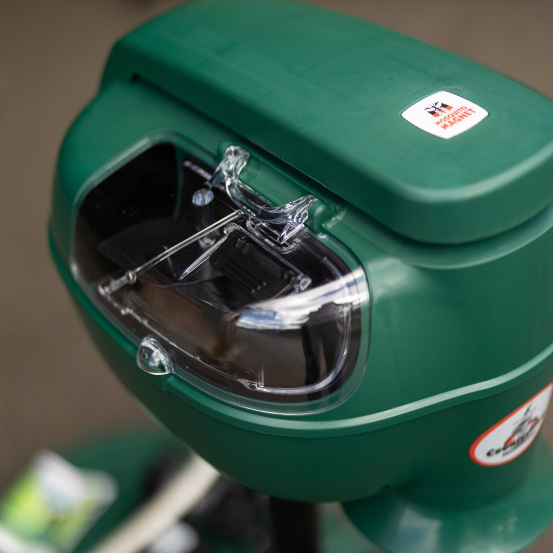 MOSQUITO PIONEER Gueuleton 2