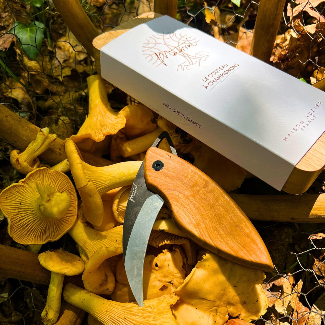 Comment bien utiliser un couteau à champignons ?