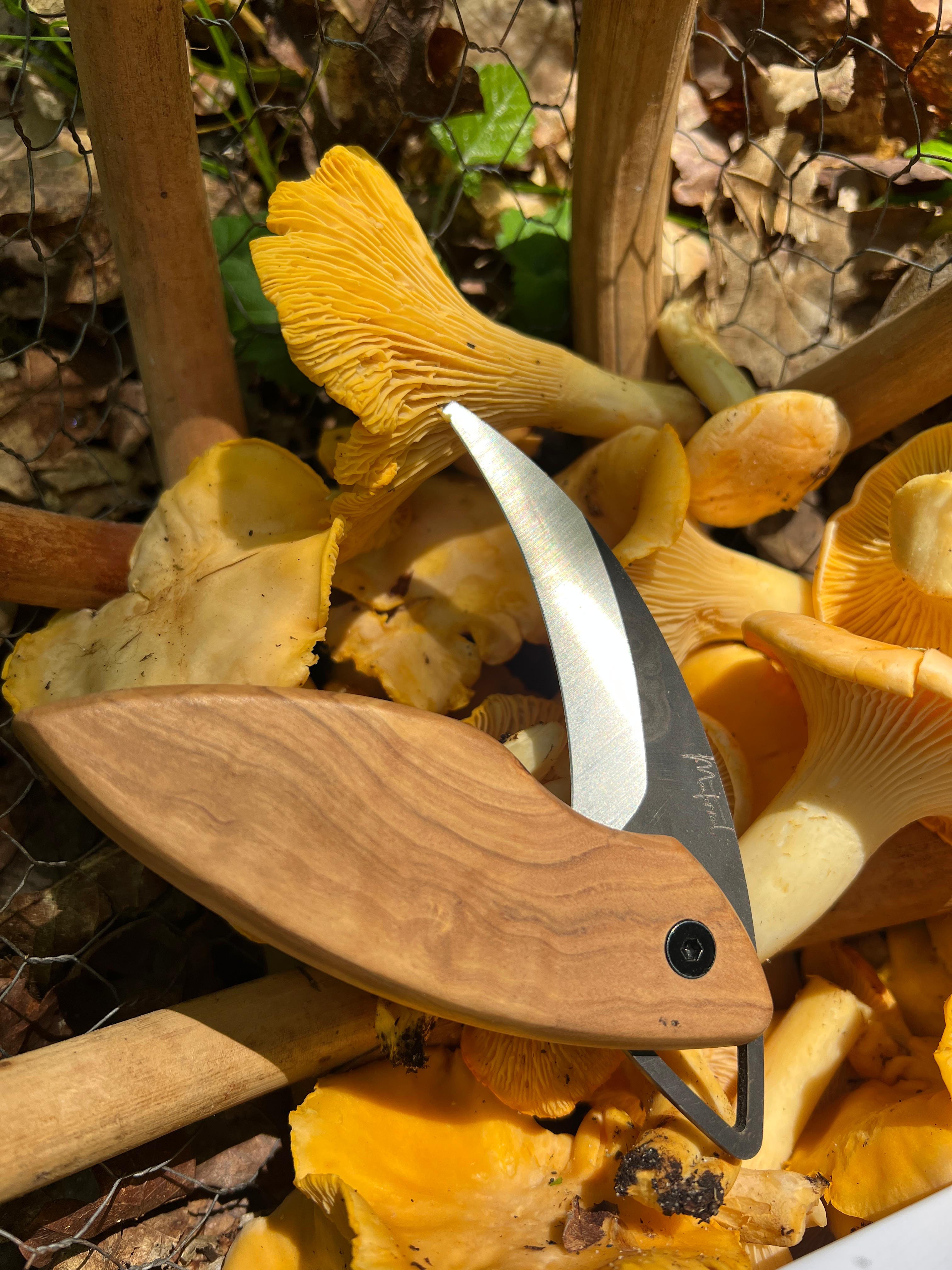 Couteau à champignon Matorral en olivier