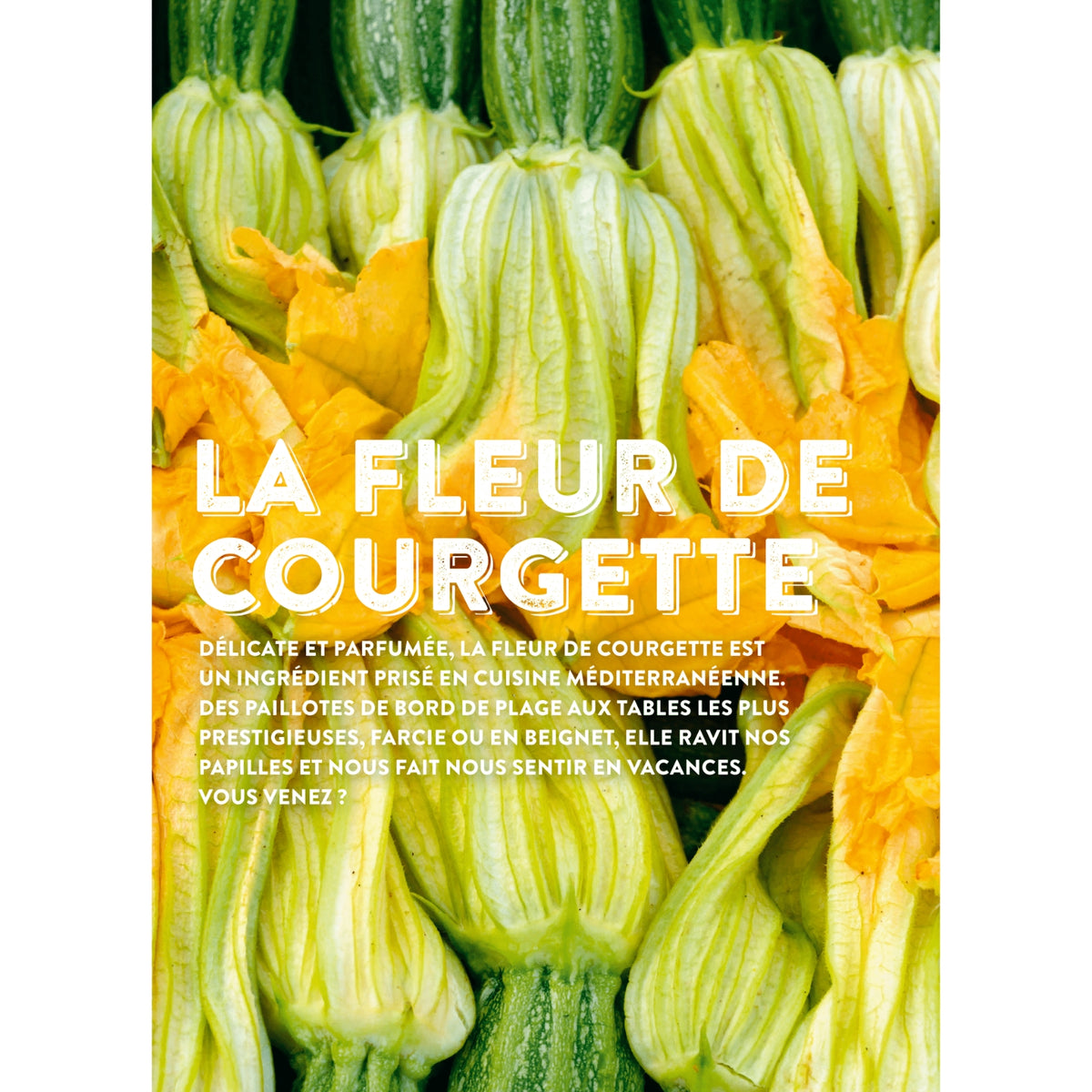 Le Livre Gueuleton des Bons Vivants – 60 produits du terroir et 72 recettes de saison