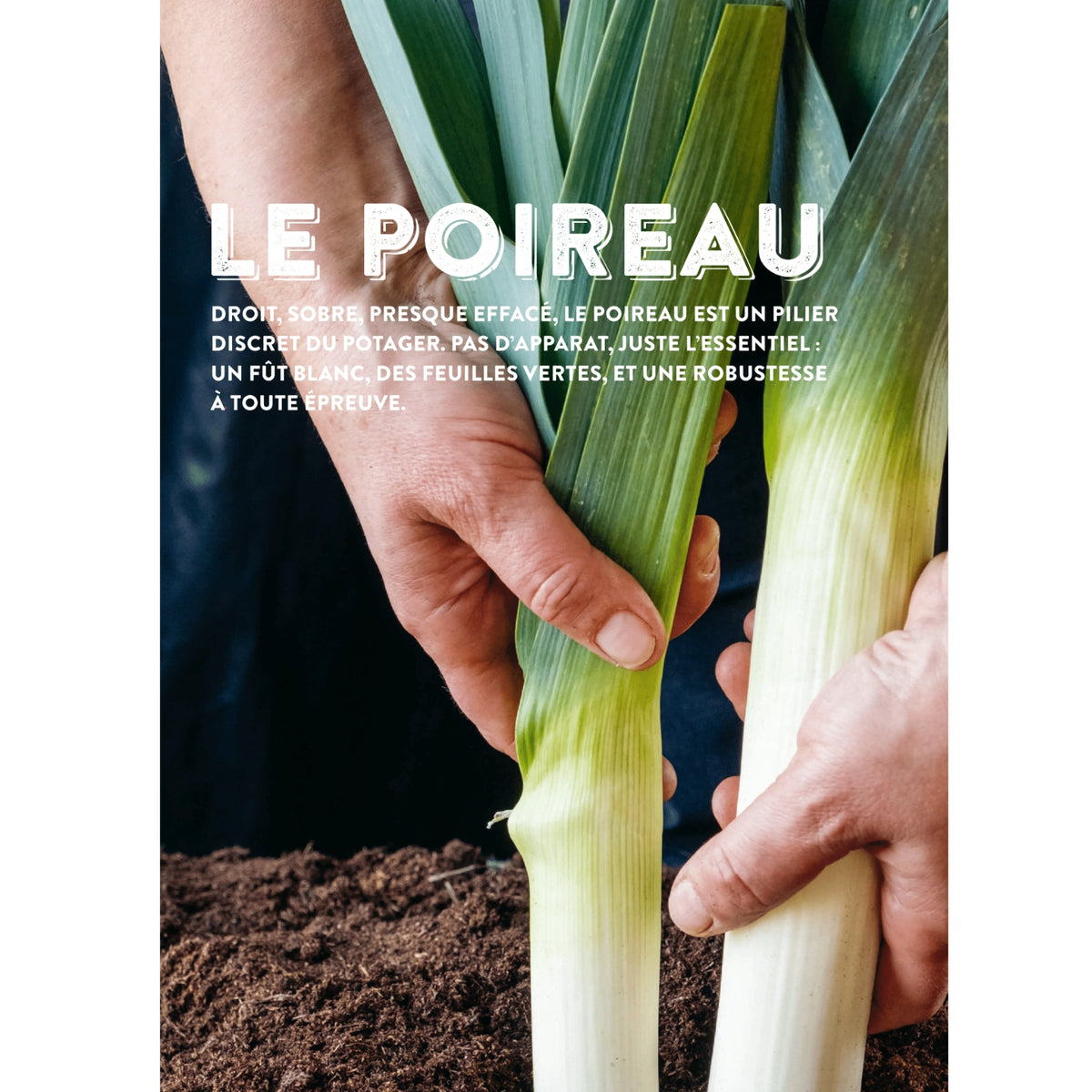 Le Livre Gueuleton des Bons Vivants – 60 produits du terroir et 72 recettes de saison
